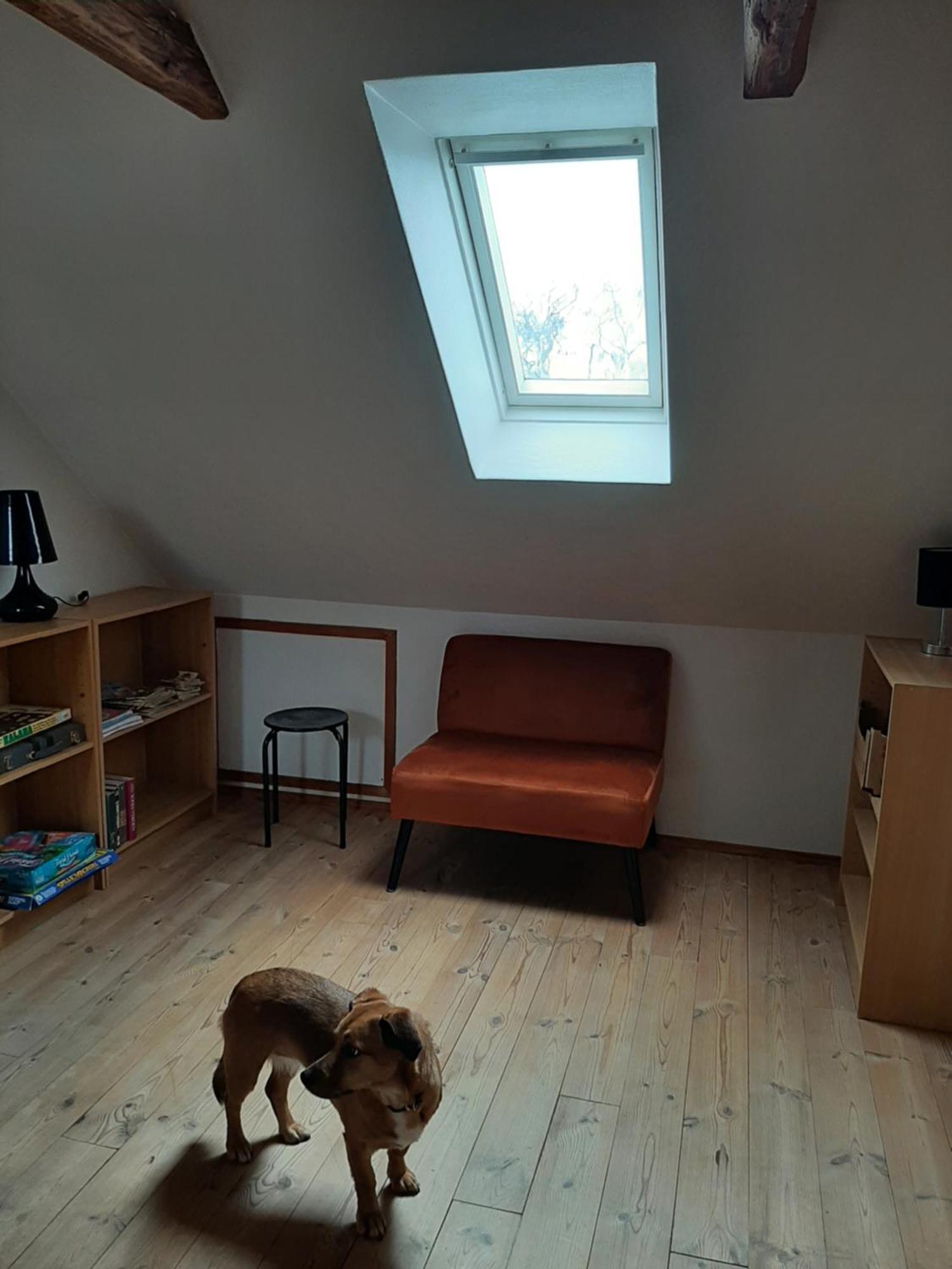 Stor Villa I Lendemarke Stege Eksteriør billede